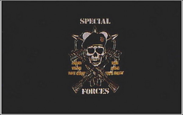 Flagge U.S. Special Forces